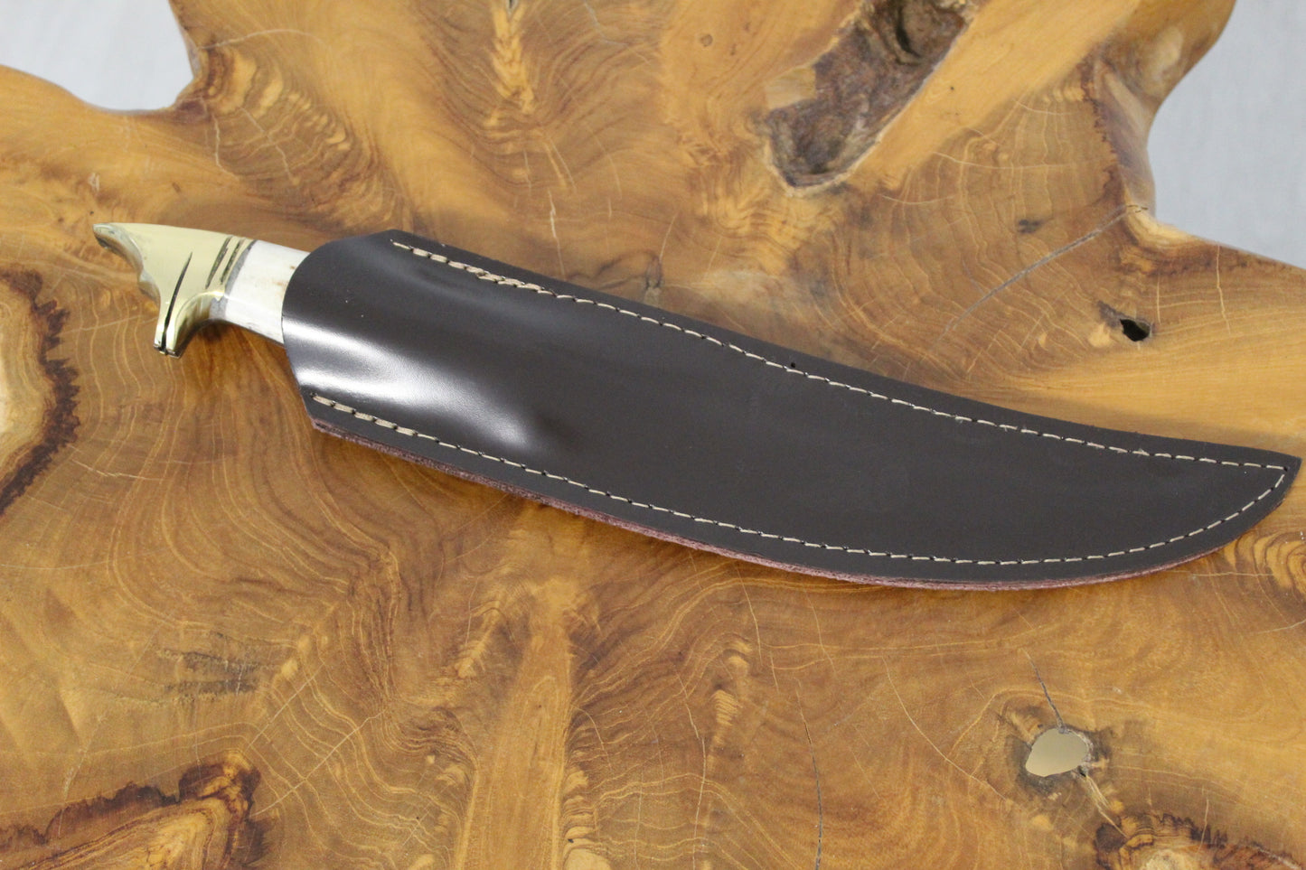 13 " Hirschgeweih Wolfskopf Jagdmesser Handgefertigt