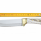 Personalisiertes Jagdmesser Hirschgeweih und Messing Griff (Dh033)