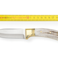 Personalisiertes Jagdmesser Hirschgeweih und Messing Griff